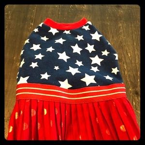 Patriotic Girl Doggy Dress.